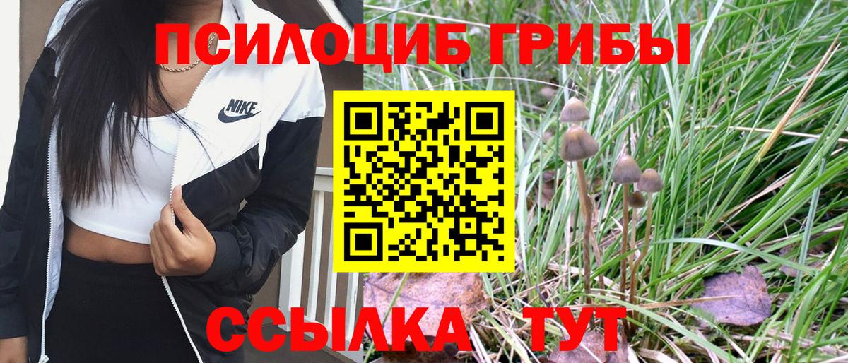 Ишим  Псилоцибиновые грибы Psilocybe  Вход с VPN 