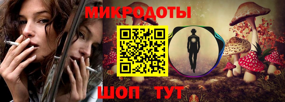 Псилоцибиновые грибы Psilocybine cubensis Ишим