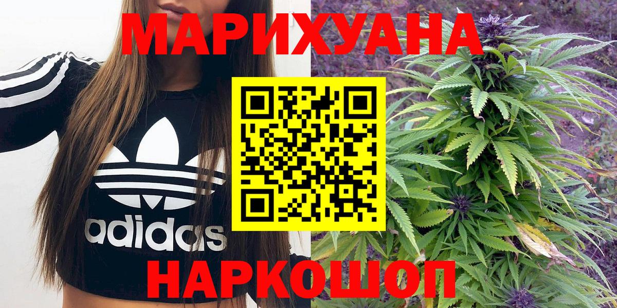 Шишки марихуана планчик  Вход с VPN  Ишим  Конопля Bruce Banner  Шишки марихуана семена 
